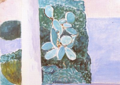 Mediterraneo