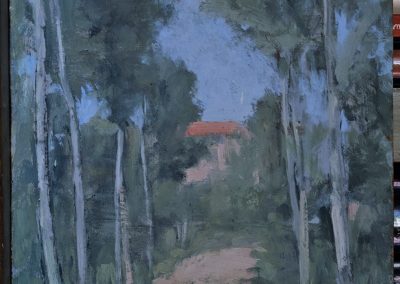 [Paesaggio viale di Betulle]