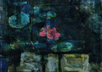 Fiori, geraneo